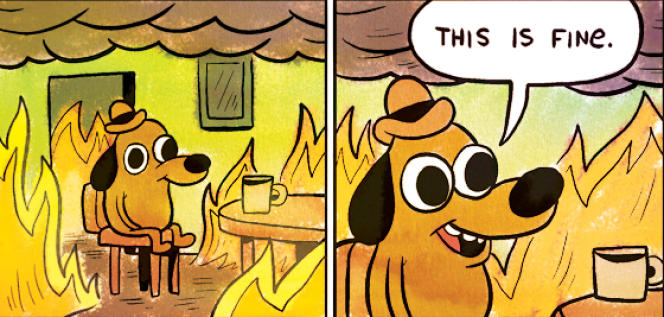 This is fine (un meme avec un chien qui boit un café dans un incendie)